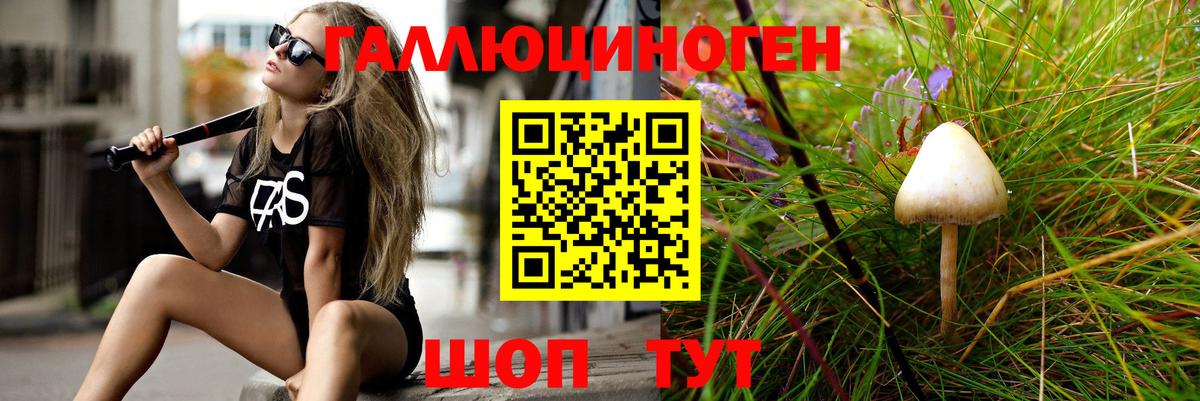 Шебекино  Псилоцибиновые грибы Cubensis  Вход с VPN 